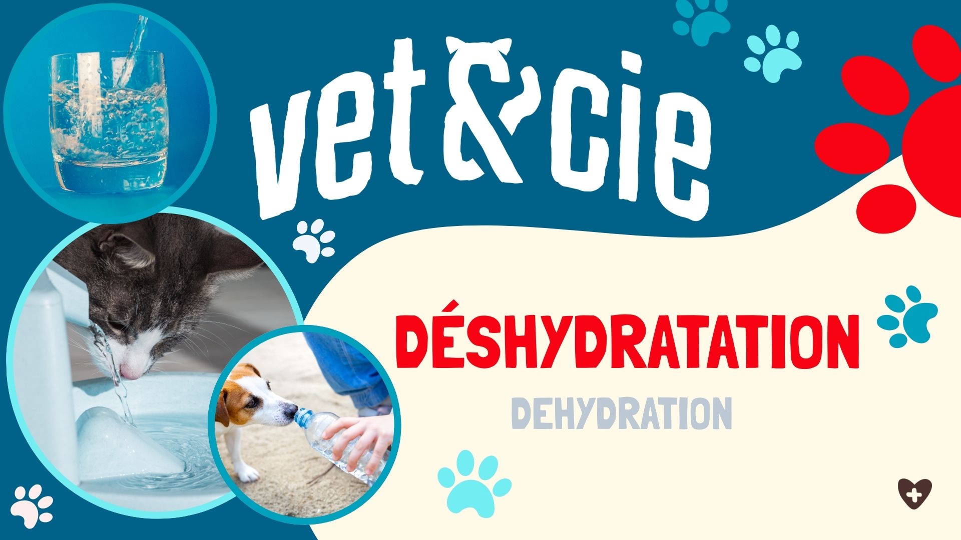Déshydratation